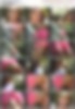 85460377_[14y]_rosmeri___stairs2.wmv.jpg
